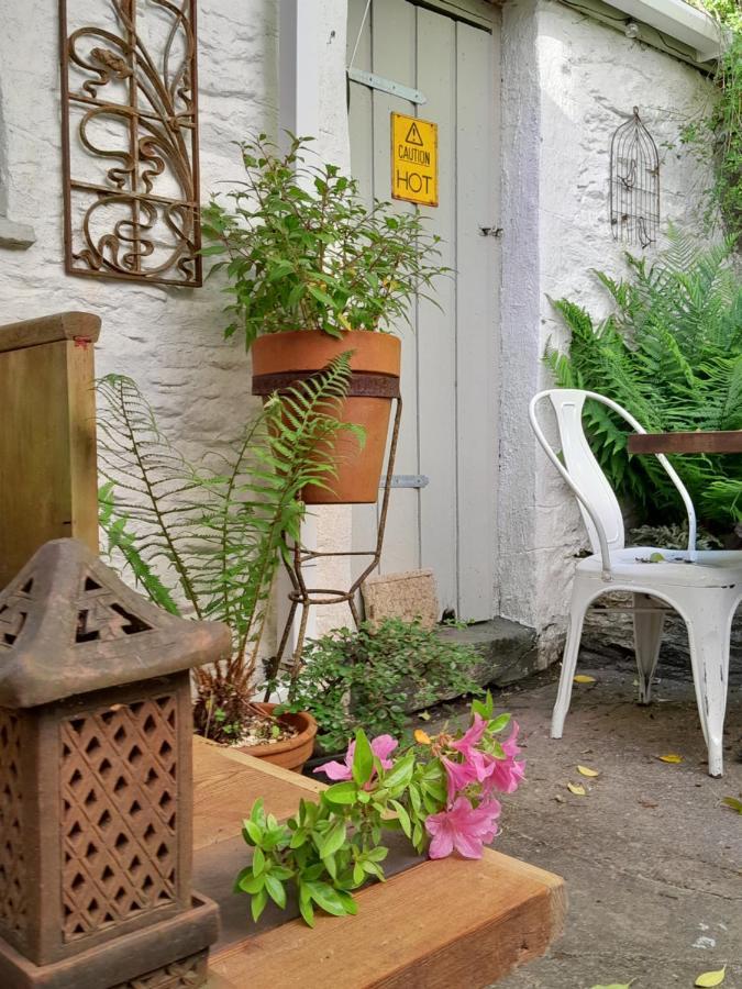The Artist'S Retreat Apartment Calstock Ngoại thất bức ảnh